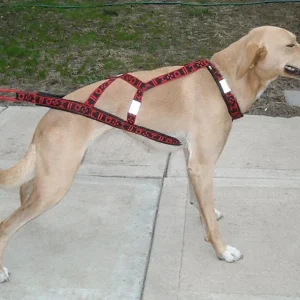 HDA Hound harness