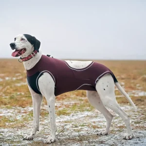 HDA Hybrid running jacket