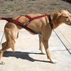 HDA Light weight harness