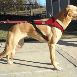 HDA Second Skin harness