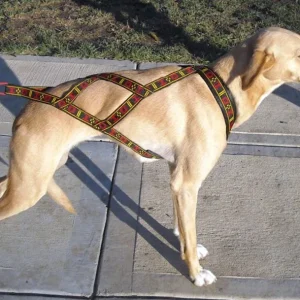 HDA Standard harness