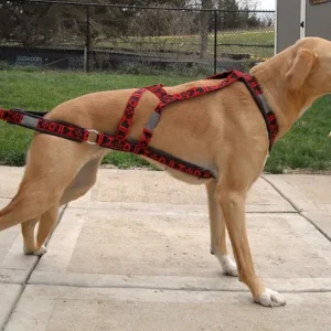 HDA Wheel dog harness