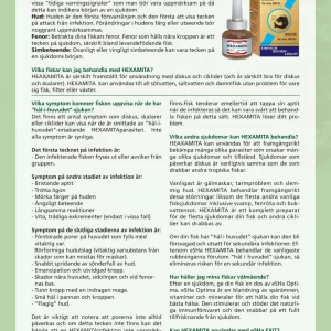 Hexamita valmiste 20ml