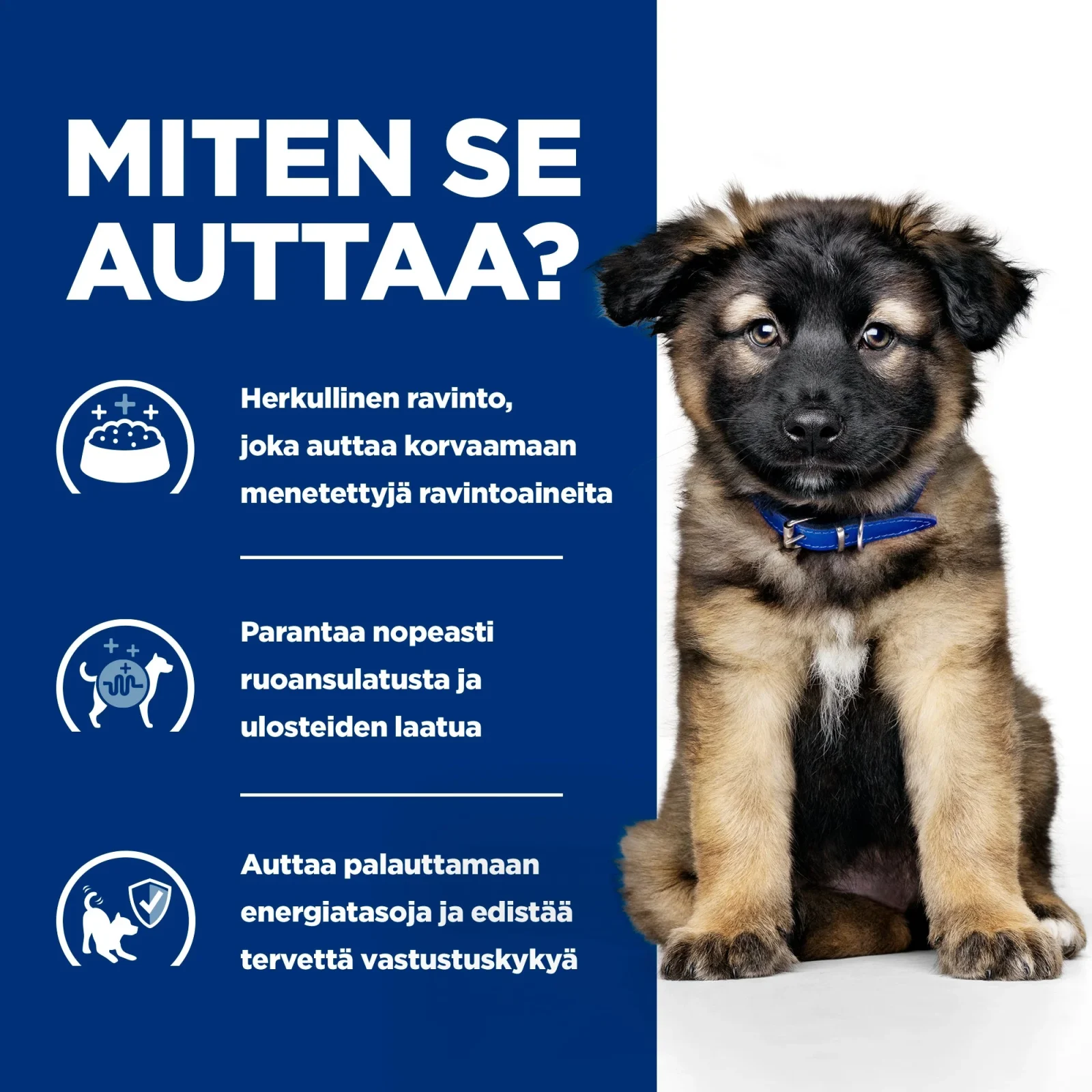 Hill's PRESCRIPTION DIET Canine i/d Puppy - Image 2