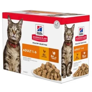 Hill's Science Plan Adult 1-6 12 x 85 g siipikarjalajitelma