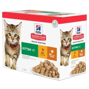 Hill's Science Plan Kitten 12 x 85 g siipikarjalajitelma