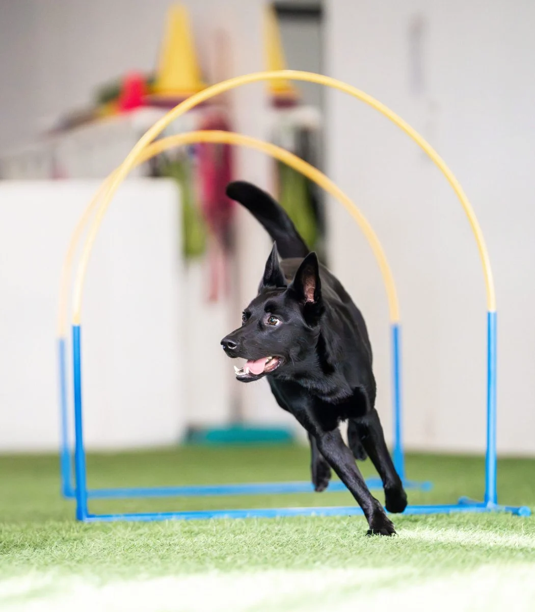 Hoopers ratatreenit jokaiselle