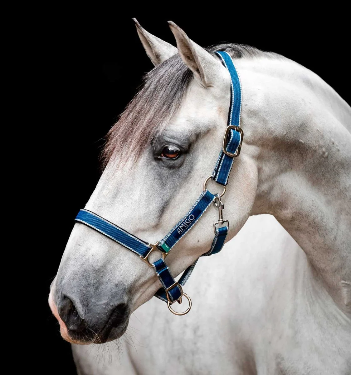 Horseware Amigo Riimu - Image 2