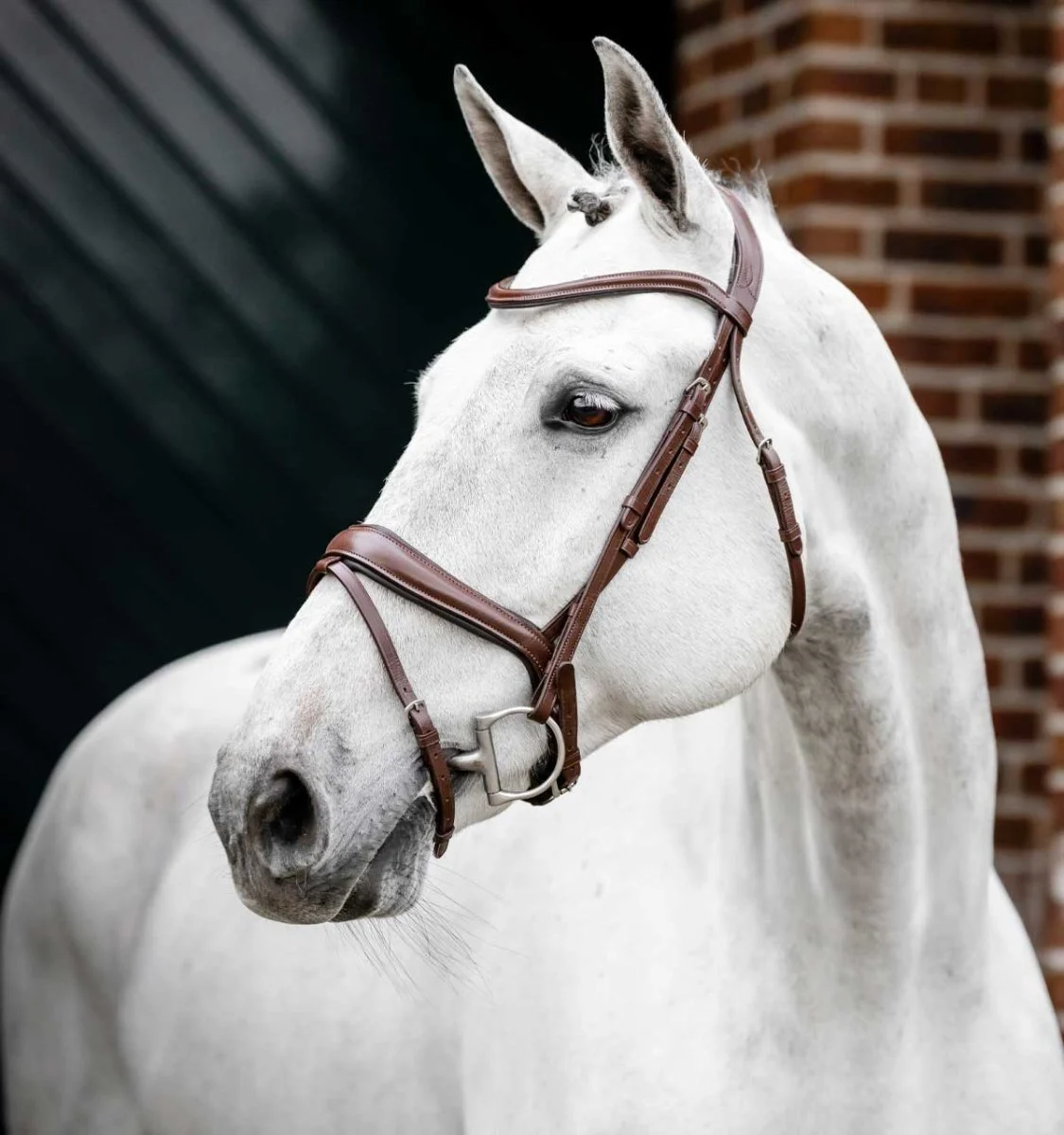 Horseware Dressage Flash Bridle - Image 2