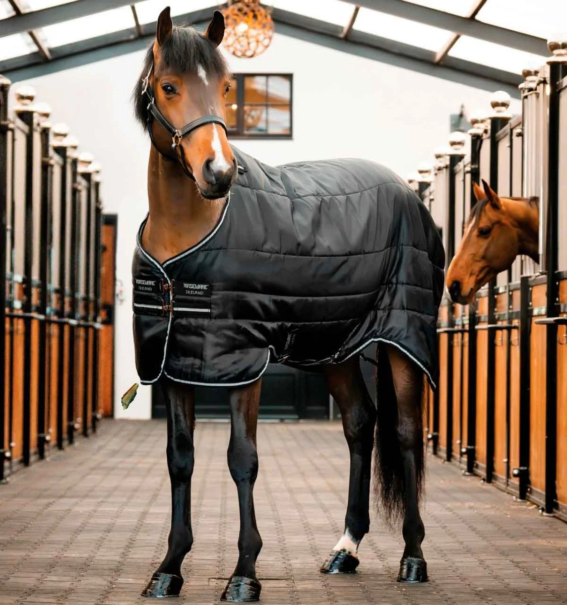 Horseware Easy-Layer Stable 100g