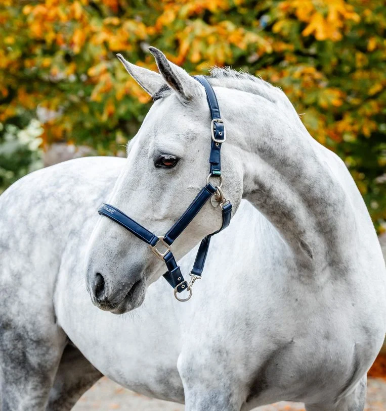 Horseware Grooming Headcollar - Image 2