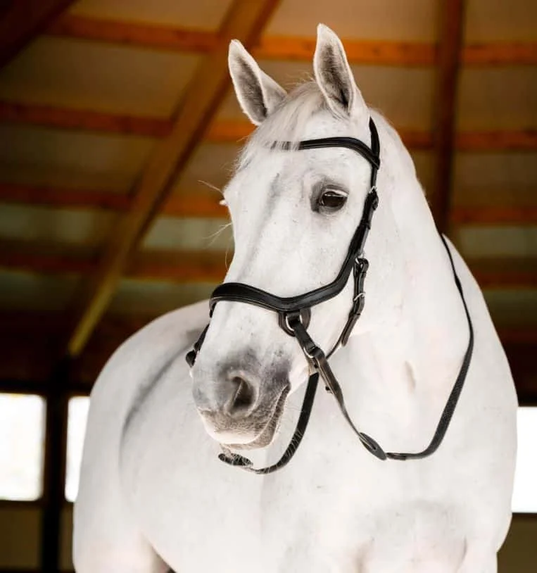 Horseware Micklem Bitless Bridle - Image 2