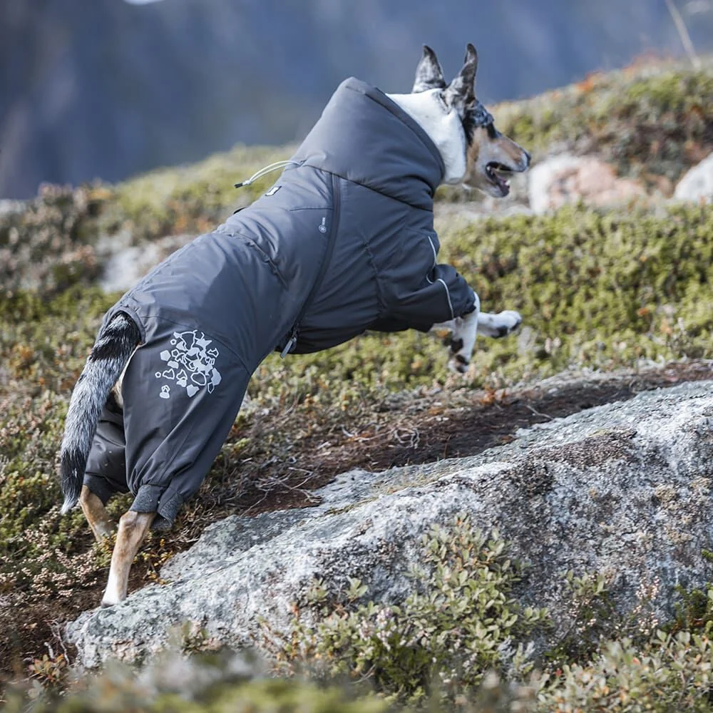 Hurtta Extreme Overall – Koiran toppahaalari