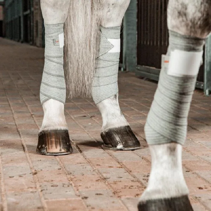 Incrediwear Equine pintelit