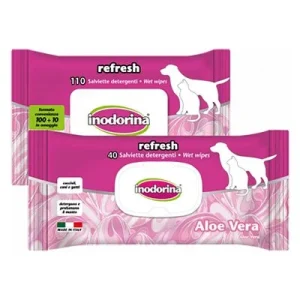 Inodorina Aloe Vera Pyyhkeet 40 kpl