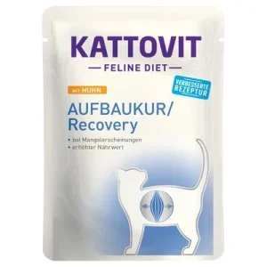 Kattovit Recovery Pouches 24 x 85 g kana