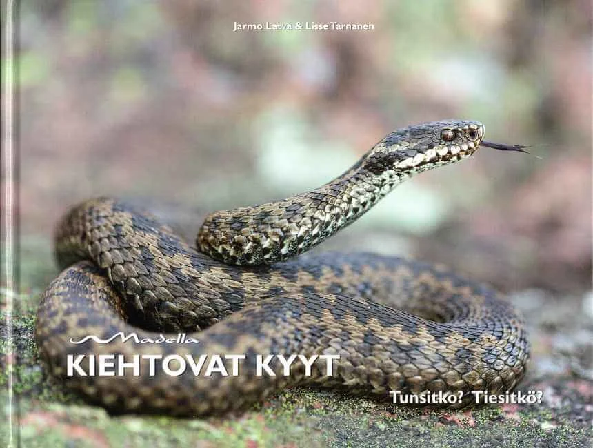 Kiehtovat kyyt – Latva, J. ja Taarna, L. 2020 - Image 2