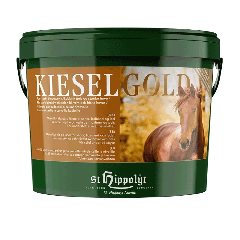 Kieselgold 4kg St. Hippolyt