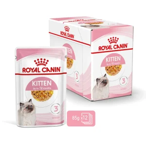Kitten m盲rk盲ruoka kissalle hyytel枚 12x85g