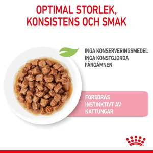 Kitten m盲rk盲ruoka kissalle kastike 12x85g