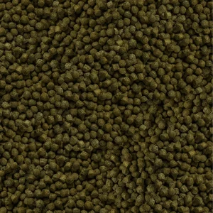 Koi Color Medium 1L