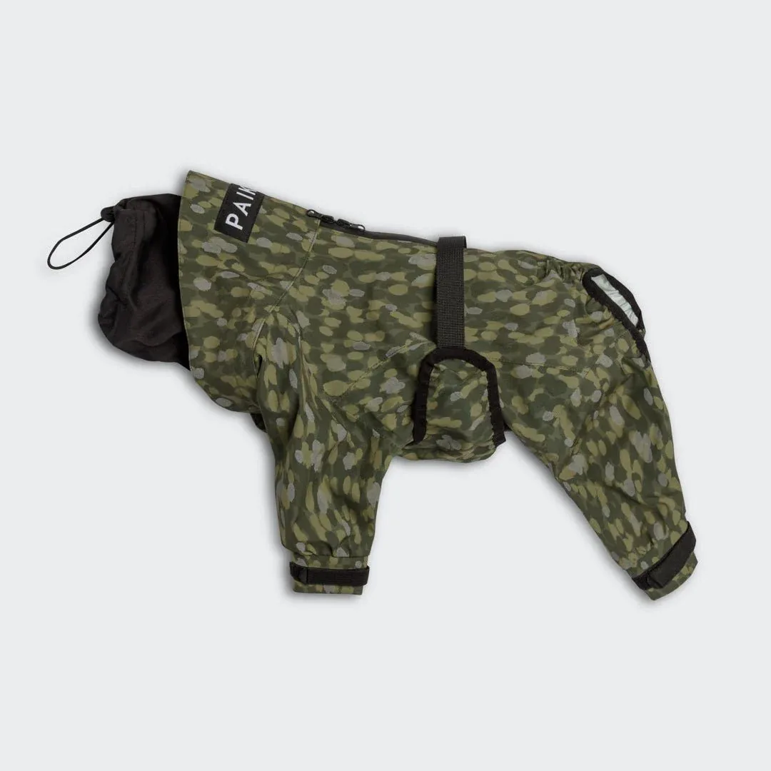 Koiran sadehaalari, vihreä