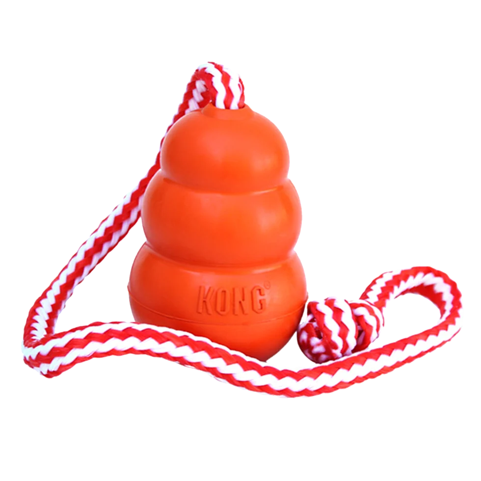 Kong Aqua - Image 2