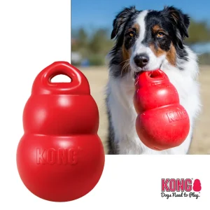 Kong Bounzer koiran lelu