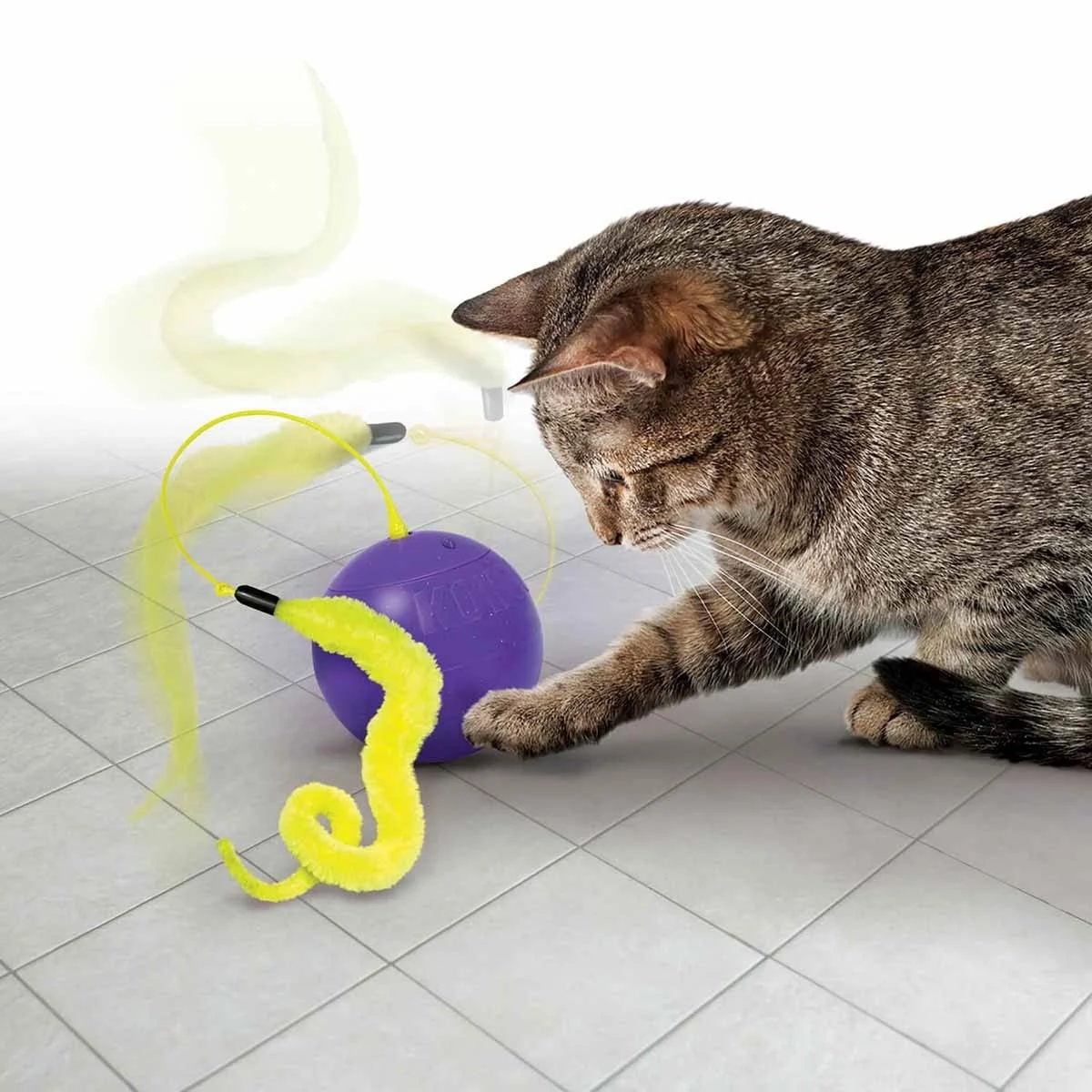 KONG Cat Whirlwind aktivointilelu