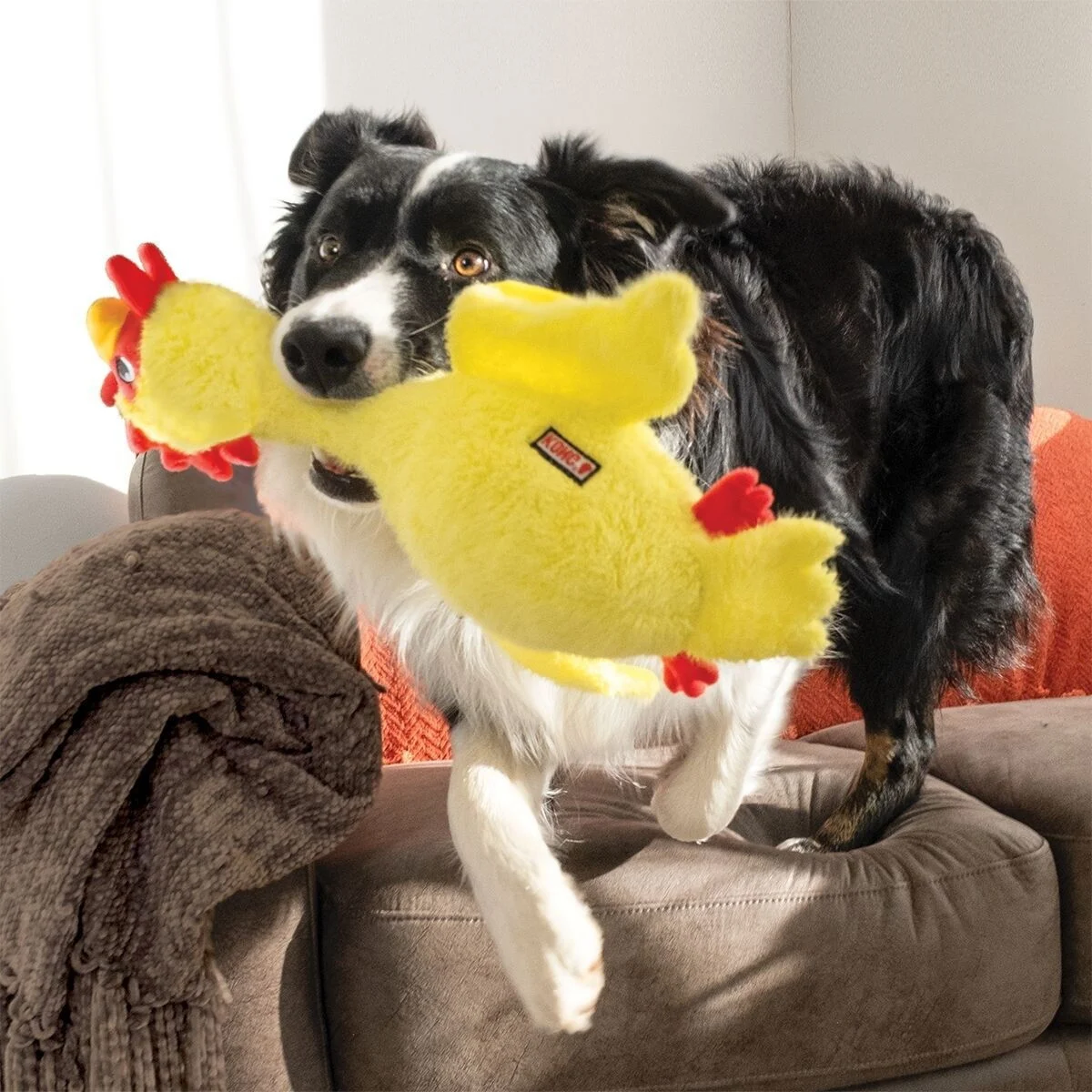 KONG Scruffs Kana, M/L