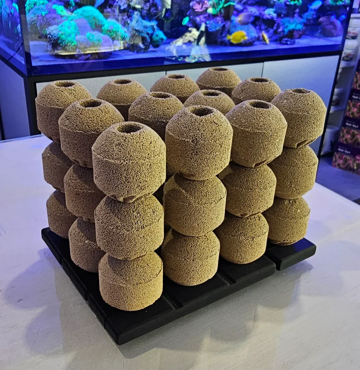 Korallifarmi BioFlow 36