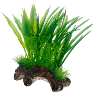 Koriste Flora Root 1 S 17cm