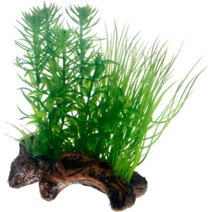Koriste Flora Root 2 S 17cm