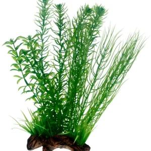 Koriste Flora Root 2L 30cm