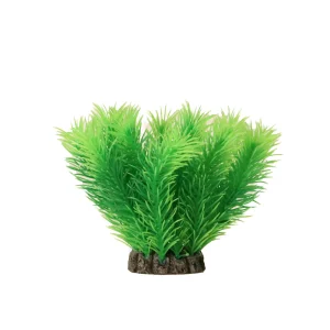 Koristekasvi 10cm