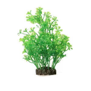 Koristekasvi 15cm
