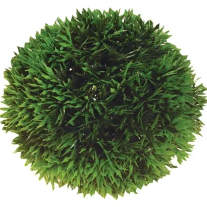 Koristekasvi Plant Ball 9cm