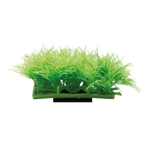 Koristekasvi Plant Pad 2
