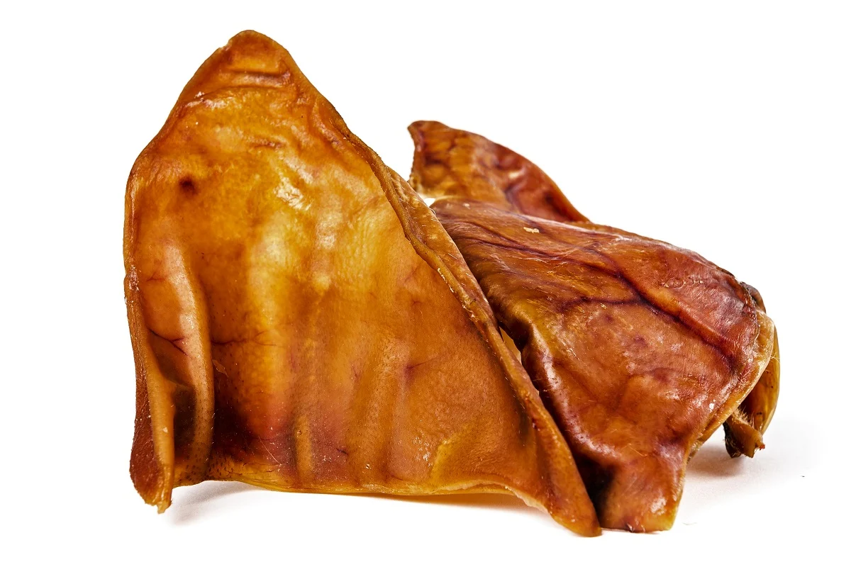 Kotimainen possunkorva Jätti - Image 2