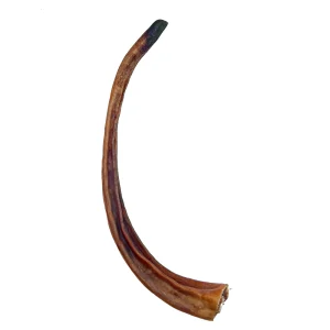 Kuivattu sianh盲nt盲