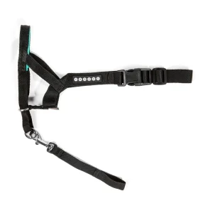 Kuonopanta Pro Dog Control