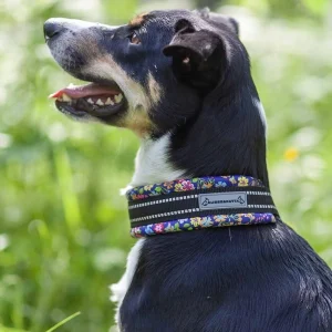 Kusse&Kutta extraleveä lycra-panta, pikkukukat