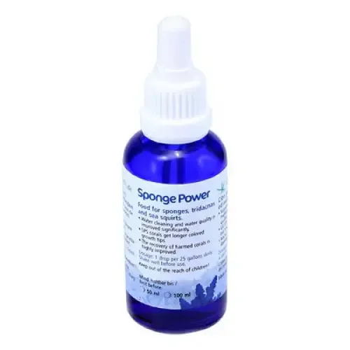 KZ Sponge Power 50ml