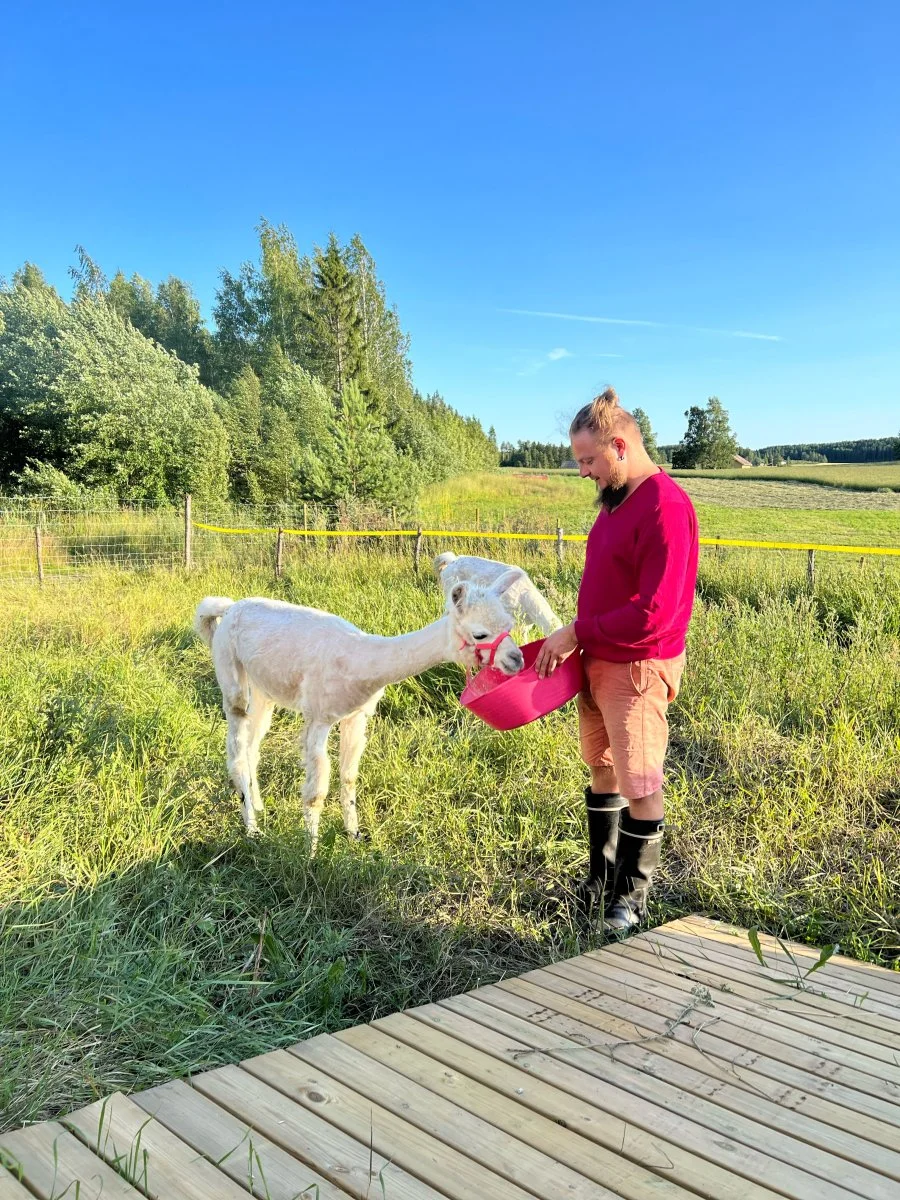 Laamaelämys - Image 2