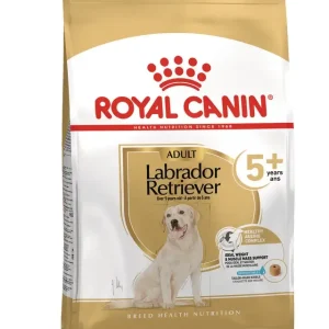 Labrador Retriever Adult 5+ Koiranruoka 12kg