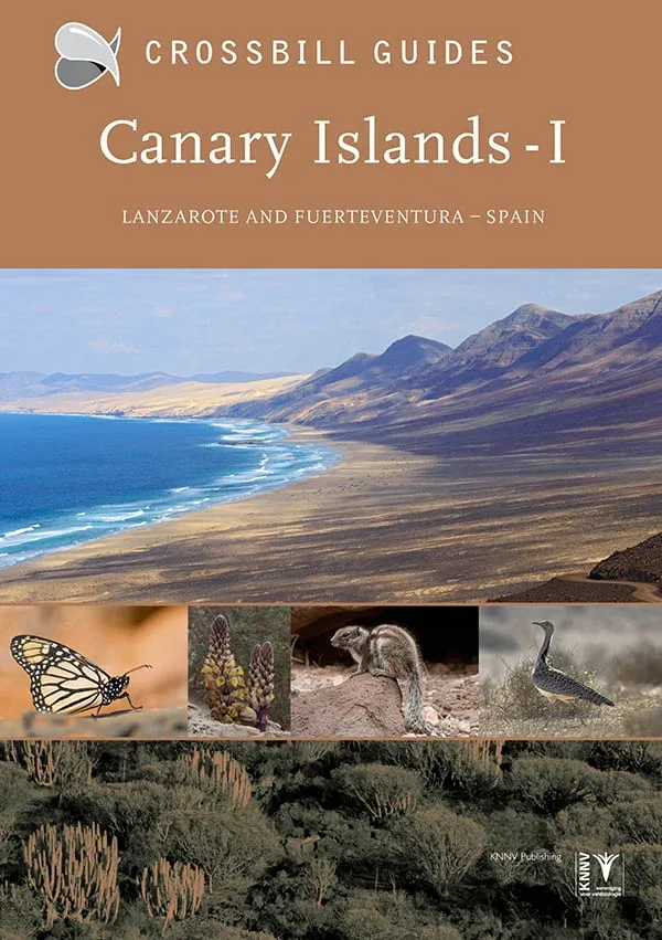 Lanzarote and Fuerteventura, Canary Islands – Spain (Crossbill nature Guides) 2023