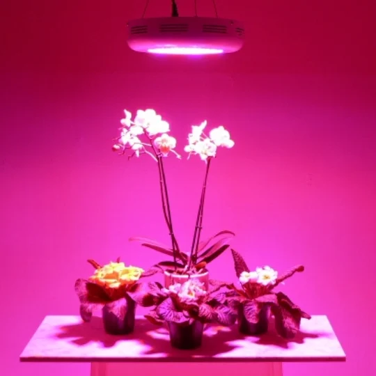 LED kasvivalaisin Minufo 50W 4-band - Image 2