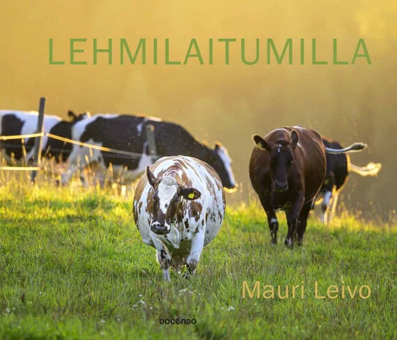 Lehmilaitumilla Lehmilaitumilla – Leivo Mauri 2022