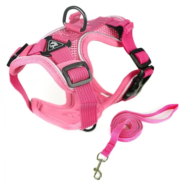 Lemmikin valjaat L(Pink)