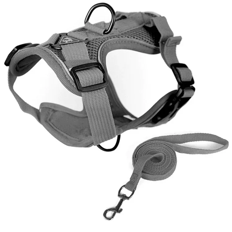 Lemmikin valjaat XL(Gray)